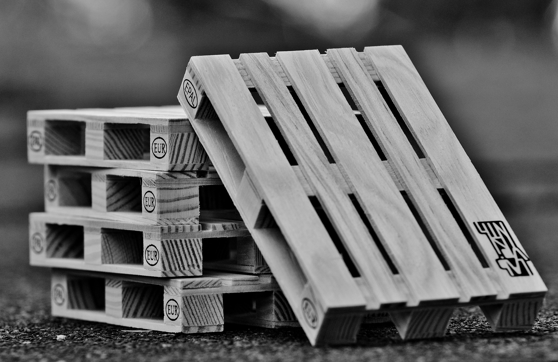 Standardized Format Formato estandarizado